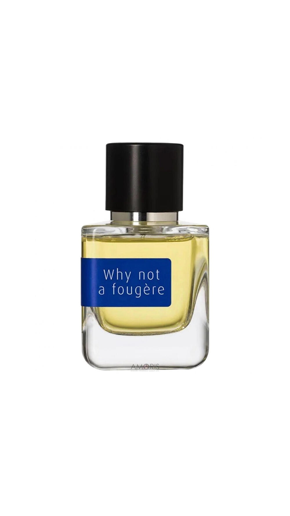 Why Not A Fougere ПАРФУМОВАНА ВОДА 