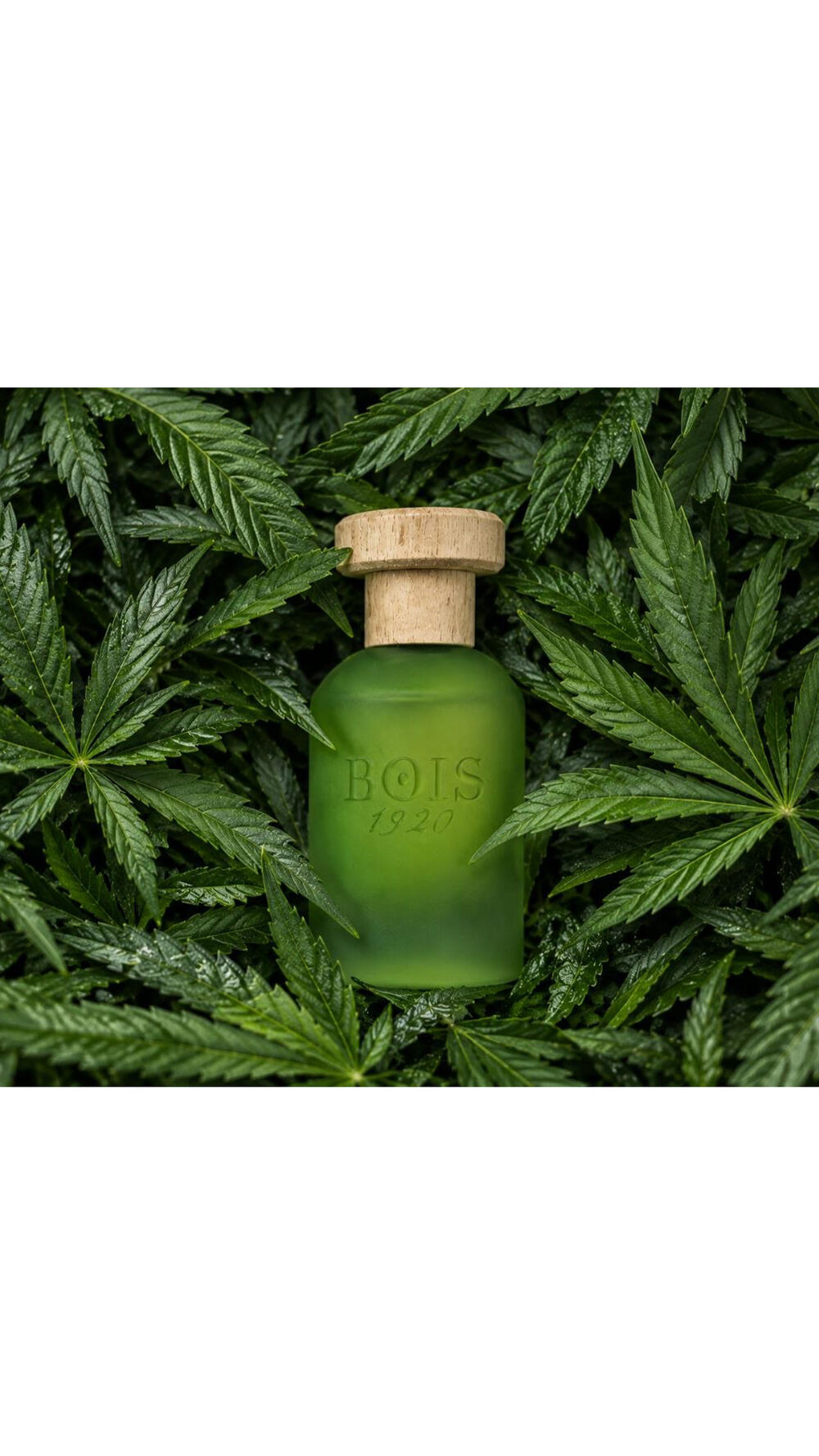 Cannabis 100ml. ПАРФУМОВАНА ВОДА 