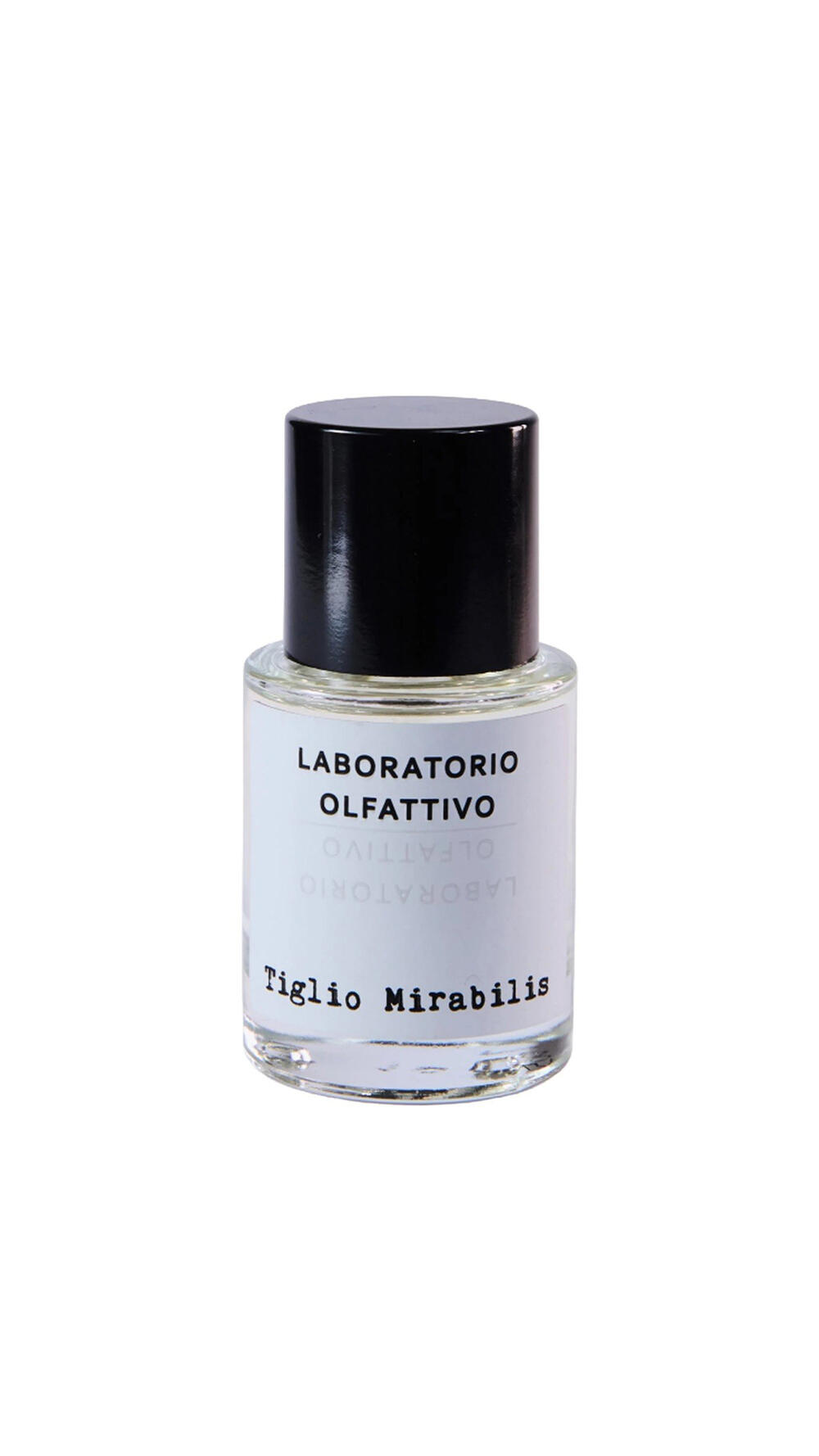 Tiglio Mirabilis 